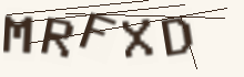 Five characters to copy into the field below the picture.