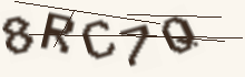 Five characters to copy into the field below the picture.